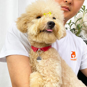 2025 di lusso in pelle riciclata per animali domestici con rivestimento impermeabile fibbia a sgancio rapido, targhe di design per cani da gatto - Product Image 3