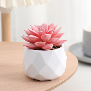 Plantas Suculentas Artificiales de PVC con Aspecto de Diamante, Adornos para Macetas de Escritorio, Ideales para Decorar con Suculentas - Product Image 5