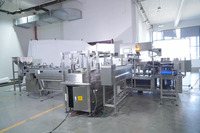 Machine d'emballage automatique à servomoteur haute vitesse ECHO pour bonbons en forme de balle et sucettes
