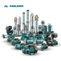 AQUOR 1,5 kW 2-Zoll-Auslass 17 m maximale Förderhöhe elektrische Tauchpumpe aus Edelstahl für Schmutzwasser und Abwasser