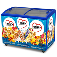 Congélateur à impression personnalisée +8 ℃ ~-25 ℃   Congélateur commercial pour glaces avec double porte coulissante en verre de 400 L pour supermarché