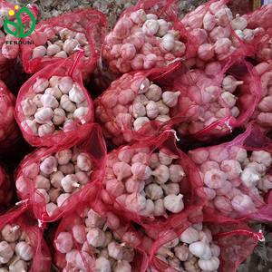 来自中国的新鲜大蒜批发价 - Product Image 3