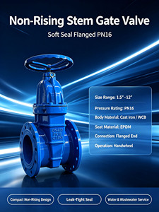 Vanne à opercule en fonte ductile NRS avec revêtement époxy collé, assise résiliente Z45X DN40-600 - Product Image 1