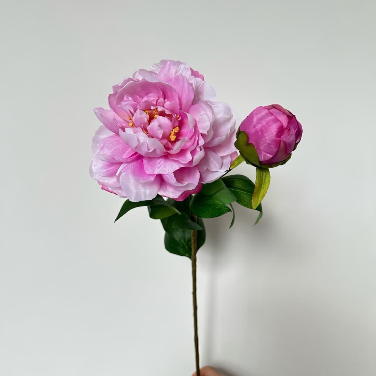 Dark Pink