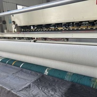 Géotextile non tissé à fibres longues aiguilleté