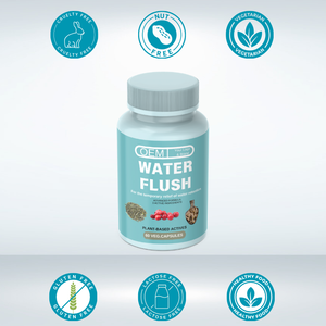 Capsules de soulagement de rétention d'eau OEM-Formule <span class=keywords><strong>diurétique</strong></span> naturelle avec extrait de thé <span class=keywords><strong>vert</strong></span> et canneberge - Product Image 4