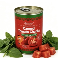 25 - Geblikte gesneden tomaten 400g Natuurlijke zoetheid Bronwaterirrigatie Op grote hoogte gekweekt Groothandel Fabriek
