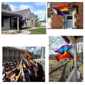 Гордость месяц 100% полиэстер быстрая доставка Мини большой полноцветный принт трансгендерный прогресс 3x5 футов на заказ <span class=keywords><strong>LGBT</strong></span> Радужный Флаг - Product Image 5