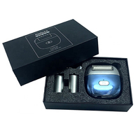 Lime à pieds électrique professionnelle mini portable pour éliminer les callosités, lime à pieds pour pédicure