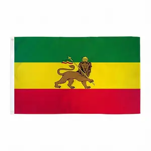 चीन कारखाने उच्च गुणवत्ता टिकाऊ पॉलिएस्टर रास्ता झंडे इथियोपिया झंडे शेर के साथ 3x5 फुट