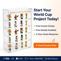 Présentoir de collection portable moderne multi-niveaux en acrylique pour figurines de mascotte, mini-trophées et objets de sport