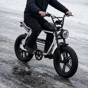 Weißes Fatbike E-Bike mit Scheibenbremsen, Resort-Ebike für Skiresort-Transport - Product Image 2