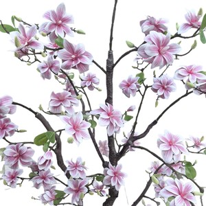 Artificial <strong>Magnolia</strong> Tree Bonsai Potted Plant 180cm for Indoor Coffee <strong>Table</strong> &amp; Living Room Floral Decoration - Product Image 2