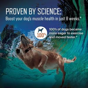 Complément alimentaire pour chiens de compagnie, marque privée OEM/ODM, soin musculaire, friandises molles, améliore la croissance musculaire, renforce les os pour les grands chiens - Product Image 2