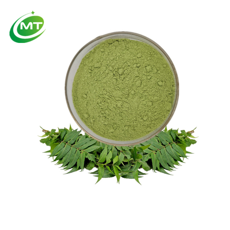 Bulk Sale Organic Neem Leaf Extract/ Neem Leaf Powder