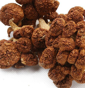 หัว Zi Gu Nameko เห็ดแห้งที่กินได้สำหรับอาหาร - Product Image 2