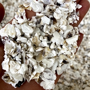 Bán hàng nóng khảm thủ công mỹ nghệ nguyên liệu tự nhiên nghiền vỏ Vỡ Vỏ sò để trang trí - Product Image 6
