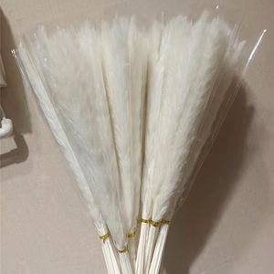 E07499 Boho vaso di vetro 40-50CM 15 30 pezzi conservato Reed Grass Set regalo piccolo bianco secco pampa erba Bouquet <span class=keywords><strong>per</strong></span> la decorazione di nozze - Product Image 4