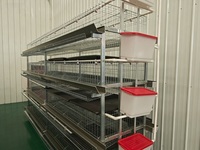 Nouvelle cage commerciale de type H pour poules pondeuses, 3-4 niveaux, en treillis métallique robuste, équipement d'élevage avicole haute performance pour poules pondeuses