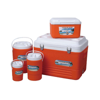 Ensemble de 5 glacières isothermes multifonctionnelles pour le camping et les pique-niques avec poignée