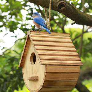 Casetta per Uccelli da Esterno <span class=keywords><strong>in</strong></span> <span class=keywords><strong>Legno</strong></span> - Offerta Speciale: Casetta Sospesa per Bluetti, Fringuelli, Cardinali - Perfetta per il Giardino e l'Osservazione - Product Image 2