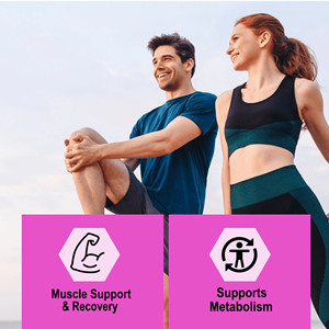 Factory Direct Plant Based Protein Powder Helps Support Endurance Recovery Supports Metabolism Chocolate Flavored Powder - Product Image 3