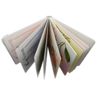Libro per Bambini con Storie di Animali, Educativo per Principianti, Personalizzato con Cartoni Animati Divertenti, Stampa su Copertina Rigida in Carta