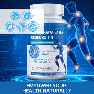 Label pribadi Glucosamine Chondroitin MSM suplemen sendi Kesehatan dukungan Glucosamine Chondroitin kapsul - Product Image 3