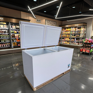 Congélateur horizontal à double porte commercial, grande capacité, alimentation électrique, pour usage domestique et hôtelier - Product Image 4