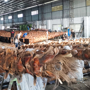 Bán Sỉ Cây Cọ Nhân Tạo Ngày Lớn Thủ Công Chống Cháy Cây Nhân Tạo Cây Cọ Ngày Hoàng Yến Nhân Tạo - Product Image 5