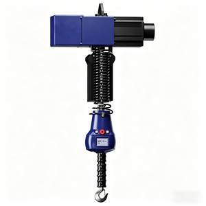 Polipasto Eléctrico de Cadena Personalizado con Frecuencia Variable, Grúa de Elevación de 220V con Construcción de Acero para Clientes - Product Image 1