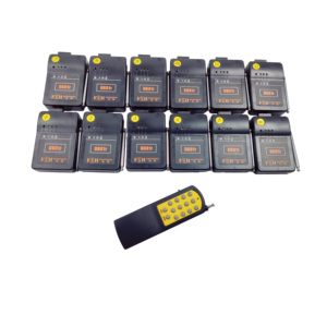 Sistema di Accensione Wireless per Fuochi d'Artificio con Telecomando a 12 Canali - Product Image 1