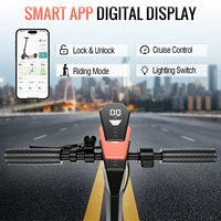 Scooter électrique pliable de haute qualité, mobilité électrique rapide 25 km/h, modèle 250W, scooter électrique directement de l'usine