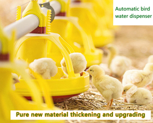 Floor <strong>Raising</strong> <strong>Chicken</strong> Farming <strong>Feeding</strong> System Automatic Poultry Machine Equipment - Product Image 2