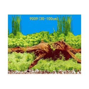 貝殻 サンゴ 海水族館 アクセサリー ワールドアクアリウム 背景 アクアリウム絵画 絵画 - Product Image 2