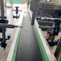 Machine de remplissage automatique de piston de pâte à une tête d'écran tactile avec l'alimentation matérielle automatique pour l'usine cosmétique de produit de base