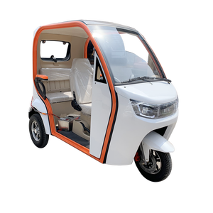 Scooter Elettrico per il Tempo Libero a Tre Ruote, Semi-Chiuso, 2 Posti, Tipo Aperto, 800W 60V, Fornitura di Fabbrica - Product Image 1