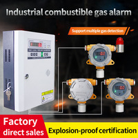 Festop Wandgemonteerde 4-20mA LPG CO2 O3 NH3 Gasdetector Industrieel Gasalarm Controlepaneel