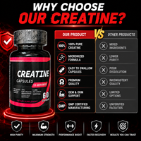 Capsules de créatine monohydrate personnalisées OEM 2500 mg, 60 unités, complément pré-entraînement pour la force, la puissance, l'endurance et la musculation