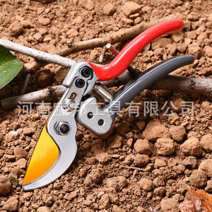 Tijeras de Podar Elasko Bypass, Acero al Carbono, Hoja Dorada, Negra y Plateada, 20-30 mm, Herramienta para Recoger Frutas y Recortar el Jardín - Product Image 3