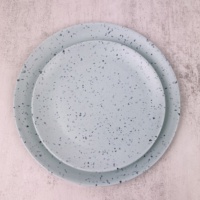 Assiette à dîner ronde en mélamine mate, incassable, écologique et réutilisable
