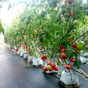 Contenitore Pieghevole Durevole per Coltivazione di Fragole Bianche, Vaso <span class=keywords><strong>da</strong></span> Giardino Impermeabile in Plastica per <span class=keywords><strong>Piante</strong></span> - Product Image 3