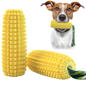 Jouet à mâcher pour chien en TPR écologique, brosse à dents, corde en coton nouée avec sonnette en maïs, fournitures pour animaux de compagnie - Product Image 1