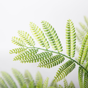 Plantas artificiales de 120cm en maceta, plantas tropicales, árbol de <span class=keywords><strong>Jacaranda</strong></span> para decoración interior del hogar - Product Image 3