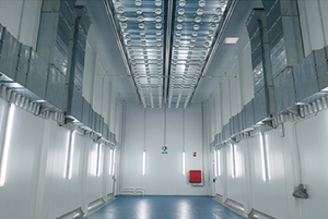 Công nghiệp thịt tan máy cho thịt bò thịt cừu gia cầm thép không gỉ Kệ điều khiển từ xa hệ thống sấy hiệu quả cao - Product Image 3