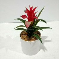 Plantes artificielles succulentes, petits bonsaïs, Dracaena Torch, Ananas, en pot, 19 cm, PE, écologiques, réalistes, durables, pour la maison