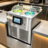 Machine à glaces commerciale à double cuve 66L/H, machine à glaces dures à double moteur en acier inoxydable pour restaurant