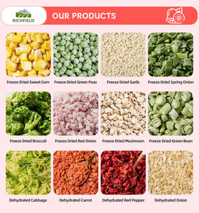 Venta directa de fábrica, calabacín Liofilizado - Product Image 4