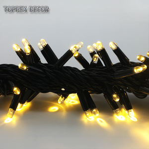 10M 100led <span class=keywords><strong>สาย</strong></span><span class=keywords><strong>ยาง</strong></span> <span class=keywords><strong>Led</strong></span> String Light Commercial ระดับไฟ <span class=keywords><strong>Led</strong></span> String กลางแจ้ง Ready To Ship - Product Image 2