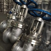 Válvula de Compuerta Industrial de Alto Rendimiento con Extremo Bridado, Vástago Ascendente de Hierro Fundido, Asiento Metálico y Acabado de Grado 316